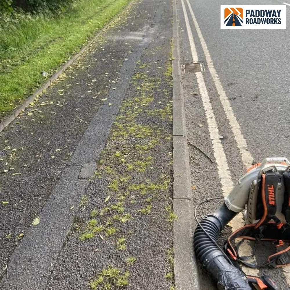 Weathered pathway cleared of weeds and prepared before slurry sealing